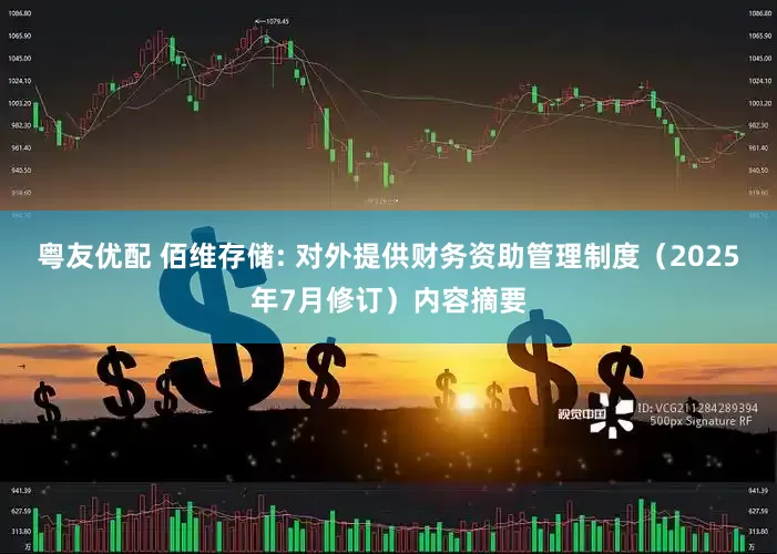 粤友优配 佰维存储: 对外提供财务资助管理制度（2025年7月修订）内容摘要