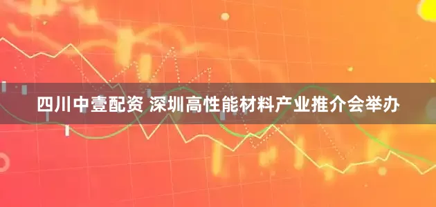 四川中壹配资 深圳高性能材料产业推介会举办