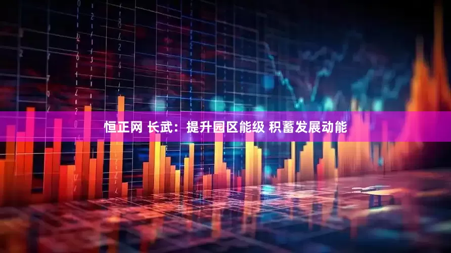 恒正网 长武：提升园区能级 积蓄发展动能