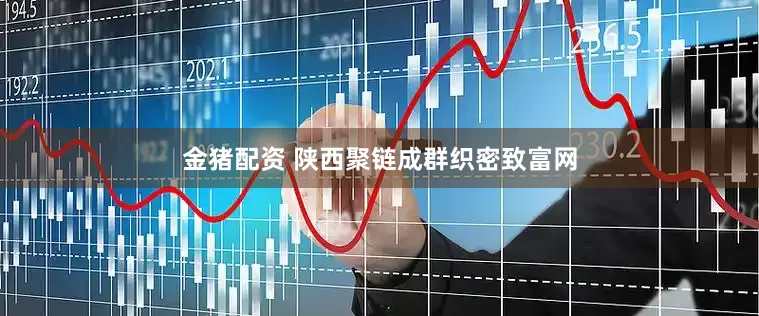金猪配资 陕西聚链成群织密致富网
