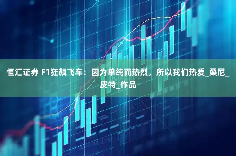 恒汇证券 F1狂飙飞车：因为单纯而热烈，所以我们热爱_桑尼_皮特_作品