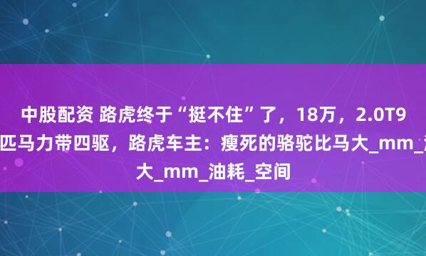 中股配资 路虎终于“挺不住”了，18万，2.0T9AT爆249匹马力带四驱，路虎车主：瘦死的骆驼比马大_mm_油耗_空间